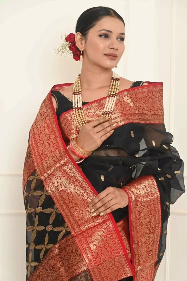 Multi Shaded Pure Chanderi Handloom Katan Silk Saree – Elegantt Drapes