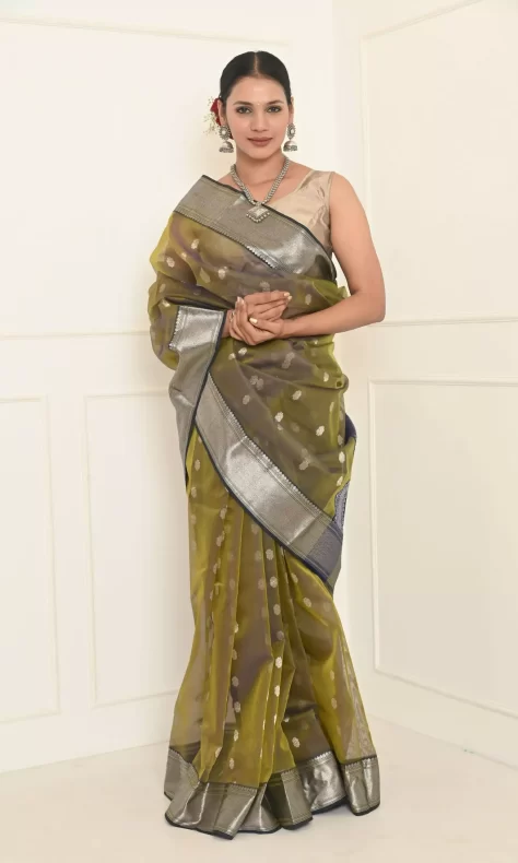 Banarasi Kora Saree With Silver Jaal Zari Weaving & Contrast Border-Gr –  Banarasikargha